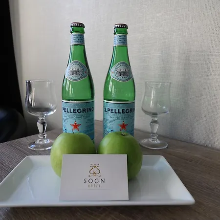 Отель Sogn 3*